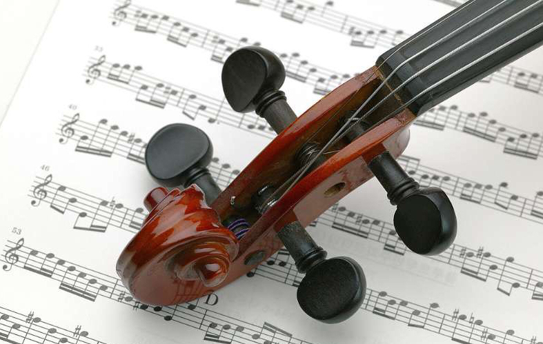 Violin